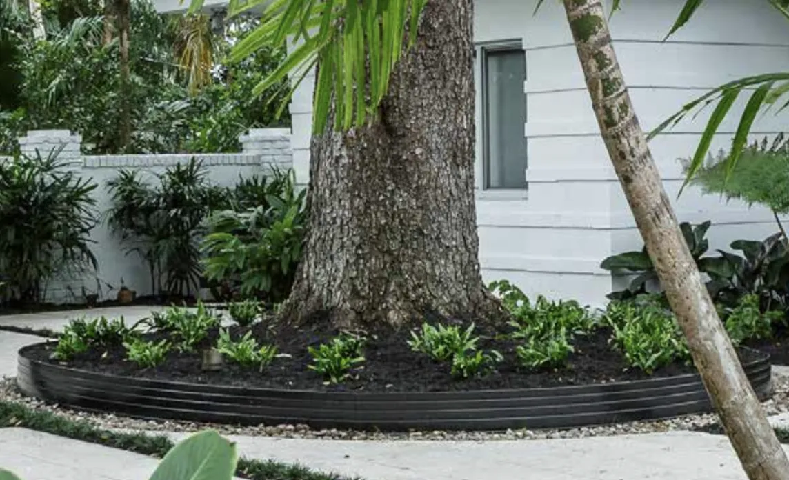 Aluminum Edging Around a Tree