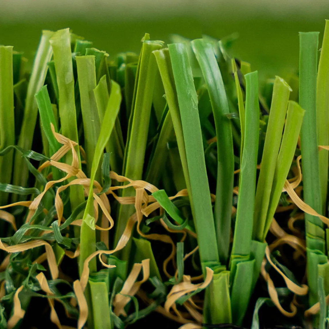 Pet Turf - Dark Shade - Close-up