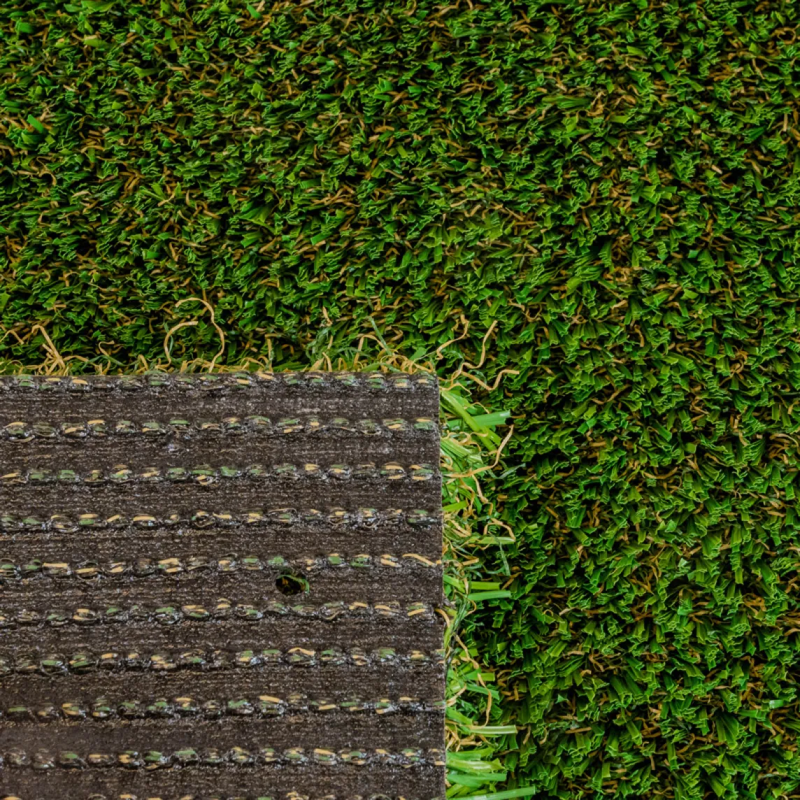 Pet Turf - Dark Shade - Front and Back