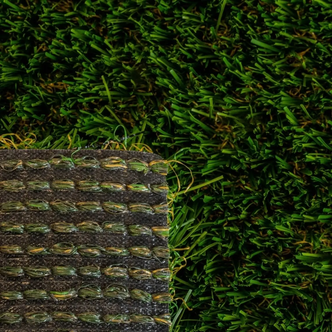 Diamond Light Fescue Turf Back and Front