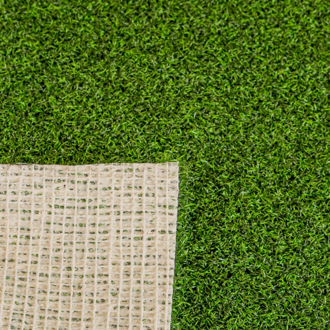 Nylon Putt 2 Tone Front and Back