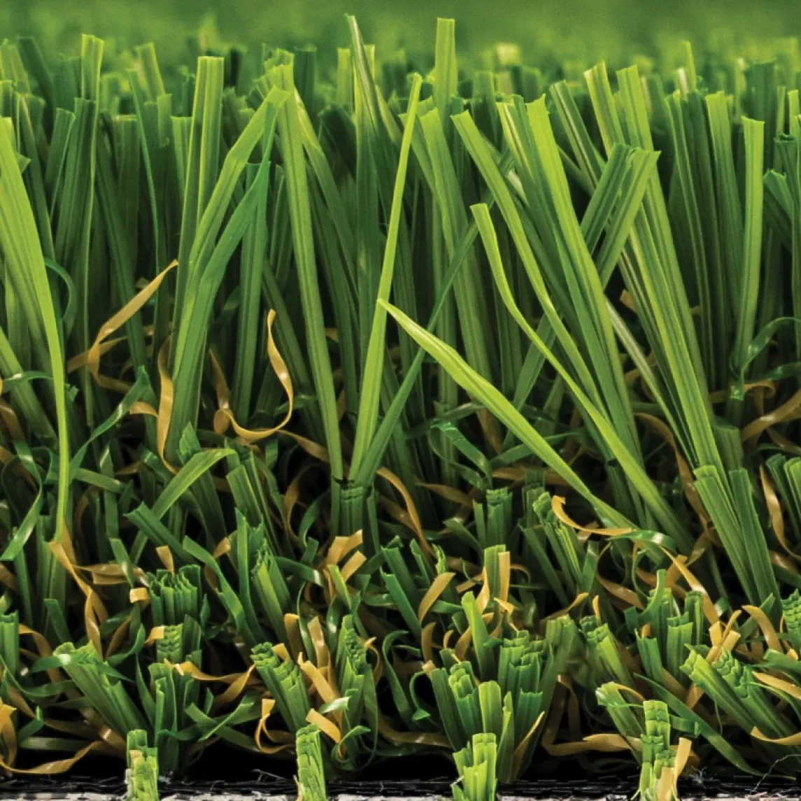 Clover Turf Profile Closeup