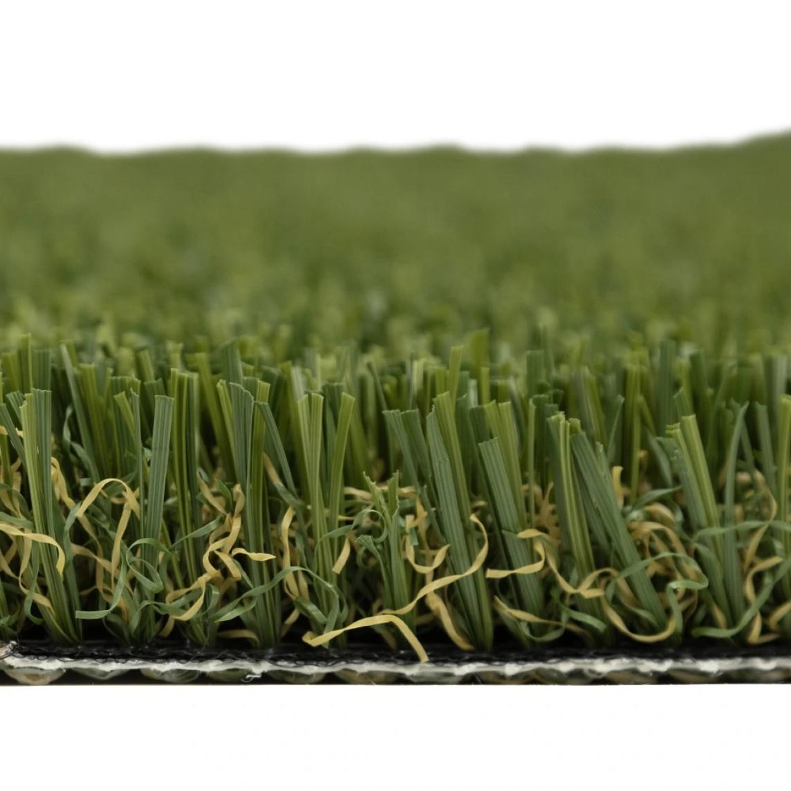 Pet Turf Fescue Profile