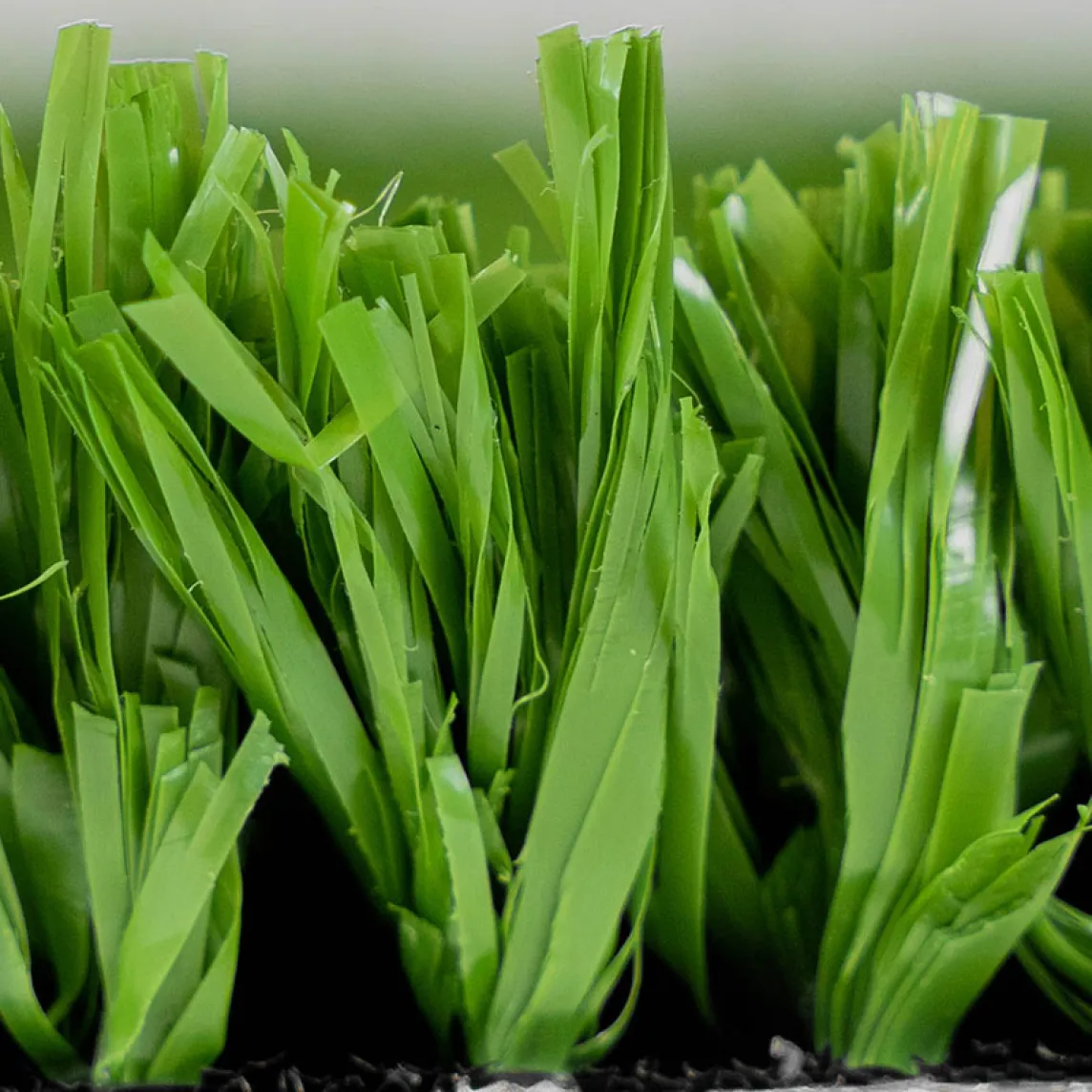 True Putt Artificial Turf Close-up