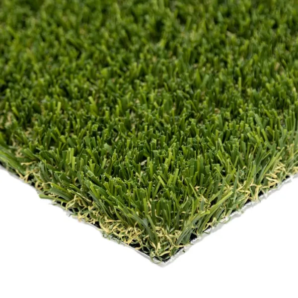 Pet Turf Fescue 