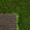 Pet Turf - Dark Shade - Front and Back