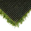 Diamond Light Fescue Turf Back