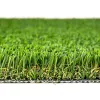 Pet Turf Elevation