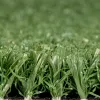 Allplay XP Indoor Artificial Turf Close-up