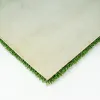 Allplay XP Indoor Artificial Turf Back