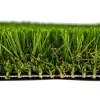 Clover Turf Profile
