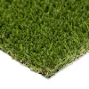 Pet Turf Fescue 