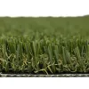 Pet Turf Fescue Profile