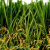 Platinum Artificial Turf Close-up