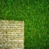 Playground Spring Artificial Turf Front and Back